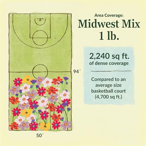 Image of Ferry-Morse Midwest Bulk Wildflower Seeds, 390,000+, 1 lb