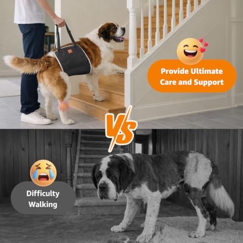 Image of LOOBANI Dog Sling for Extra Large Dogs Hind Leg Support Weak Rear Leg Aid