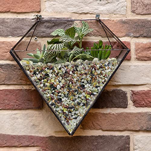 Zhuddong Gravel For Aquarium-3Lb Natural Mixed Color Gravel,Aquarium Gravel,Jade Bean Pebbles,For Outdoor & Indoor Home Plants Garden Decoration (Jade) #TOP4