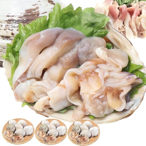 VIVID LIFE ホッキ貝 生食・刺身用 3kg (21~27個) 冷凍 片貝 青森県産 生 ほっき 北寄貝 殻付き