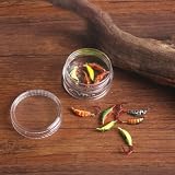1.75g Ultralight Jig Head Silkworm Pupa Shape (una scatola di 12 colori)