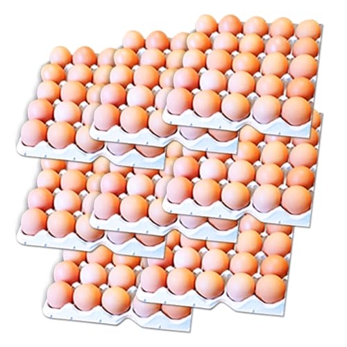 わけありたまご 康卵 Mサイズ 50個 (45個 + 割れ保証5個)×4ケース 計200個