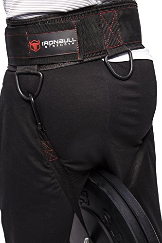 Iron Bull Strength Advanced Dip Belt - Dip Pullup Squat Multifunction Versatile Weight Belt For Lifting (Medium) #TOP3
