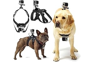 Dog GoPro Vest: Capture Your Dog's Adventures Hands-Free