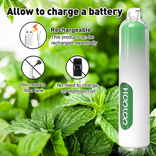 HOOLOO-Disposable-Vape-Pen-E-Cigarette-Starter-Kit-6500-Puffs-Rechargeable-Prefilled-Vape-Juice-Prefilled-and-Precharged-E-Cigarettes-Vape-Starter-Kit0mg-No-Nicotine-Mint