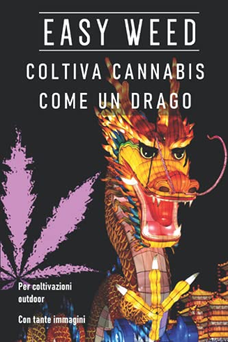 Easy weed: Coltiva cannabis come un drago