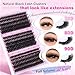 Volume Lash Extension Mink Thick Cluster Eyelash Extensions 10-18mm Lash Clusters Individual Lash Extensions DIY Clusters Lashes Extension at Home by Focipeysa (300pcs-70P+80P+90P 10-18mm)