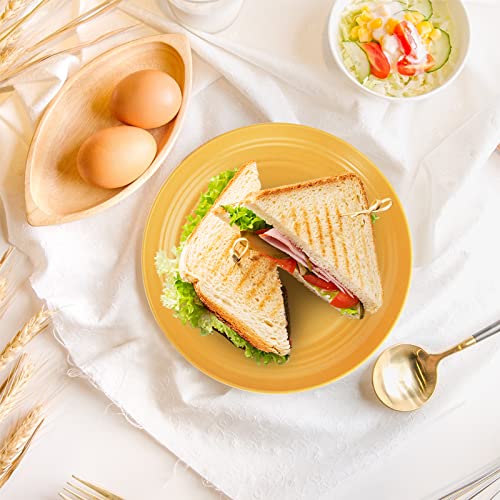 Oamceg 12 Pack Plastic Plates Reusable 9 Inches Unbreakable Eco-Friendly Lightweight Wheat Straw Plates, Salad Plates, Camping Plates, Dinner Plates, Dishwasher & Microwave Safe, Bpa Free #TOP6