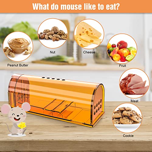 4 Pack Humane Mouse Traps Indoor for Home, Live Mouse Traps No Kill, Reusable Mice Small Rat Trap Catcher for House & Outdoors - Thumbnail 5