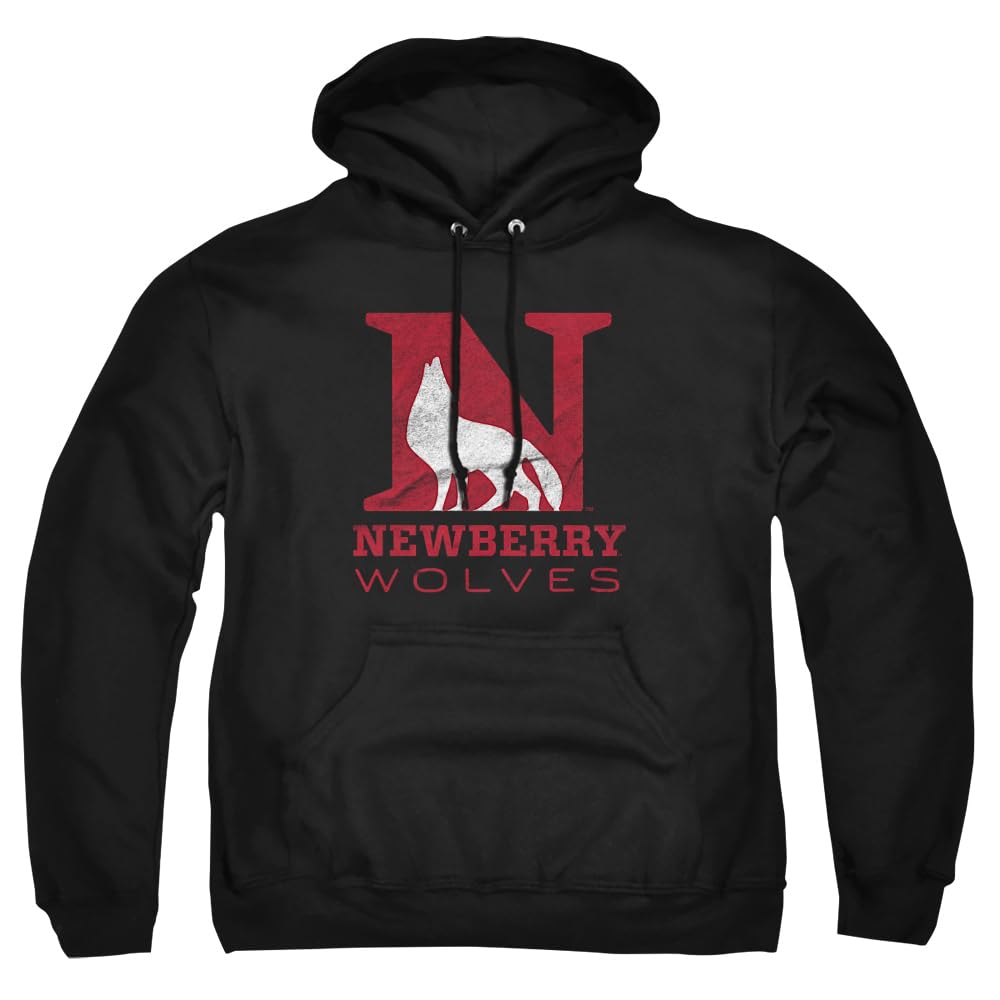 LOGOVISION Official Collegiate Distressed Primary Logo Adult Pullover Hoodie Collection — view 397