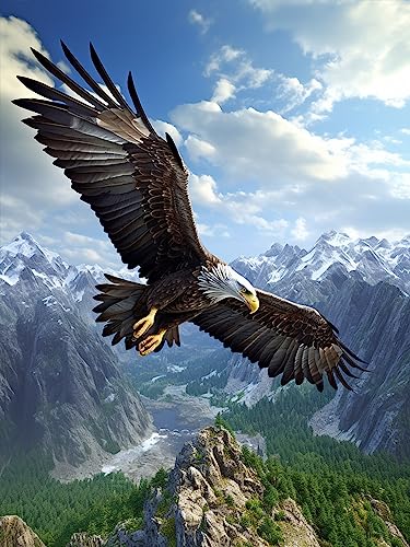 Bimkole 5D Diamond Painting DIY Kits Ciel D'Aigle, Animal Broderie Diamant Kits De Broderie Au Point De Croix Strass Rond Résine Peinture Décor à La Maison...