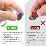 Qualsen Magnesy na Lodówkę, 20 Szt. Silny Magnes, Kolorowe Małe Okrągłe Mini Magnesy do Tablicy, Rzemiosła, Kuchni, Biura, Szkoły (10 Kolorów)