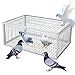 ASQUAR Trampa Para Pájaros Con Entrada Unidireccional Jaula Trampa Para Palomas Fácil De Montar Con Diseño A Prueba De Fugas Portátil 4 Importada Recolección Automática De Palomas Adecuada(100x60x26CM