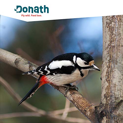 Donath Energie-Box 3+1-3 Meisenknödel im Netz a 100g und 1 Nussstange a 120g - viel Abwechslung - wertvolles Ganzjahres Wildvogelfutter - aus unserer Manufaktur in Süddeutschland