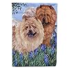 Caroline’s Treasures PPP3073CHF Chow Chow weide vlag canvas huisgrootte, huisgrootte, veelkleurig