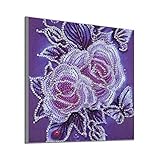 ❤️El kit de bordado de diamante incluye: 1 lienzo de alta resolución, 1 recipiente para diamantes, 1 pluma, pintura de diamante DIY. Las imágenes de diamante se pueden almacenar durante mucho tiempo, y los proyectos finales pueden durar más de 20 años. Si tienes problemas con los kits de arte de diamantes, ponte en contacto con nosotros y lo resolveremos durante 24 horas.