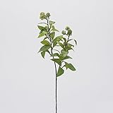 ram 630 EDG Enzo De Gasperi – Viburno Ramo H 63 cm – VerdeIl Ramo di Viburno firmato EDG Enzo De Gasperi è una pianta artificiale elegante e versatile, ideale per composizioni floreali naturali e raffinate.Con un'altezza di 63 cm, questo ramo in tonalità verde riproduce fedelmente foglie e boccioli del viburno, grazie alla cura nei dettagli e alla struttura realistica dello stelo. La finitura naturale delle foglie dona profondità e movimento alla composizione.Perfetto per:vasi medi e alti composizioni floreali decorative allestimenti per soggiorni e sale da pranzo ambienti professionali e vetrine Può essere utilizzato singolarmente per uno stile minimal e naturale oppure abbinato ad altri rami e fi