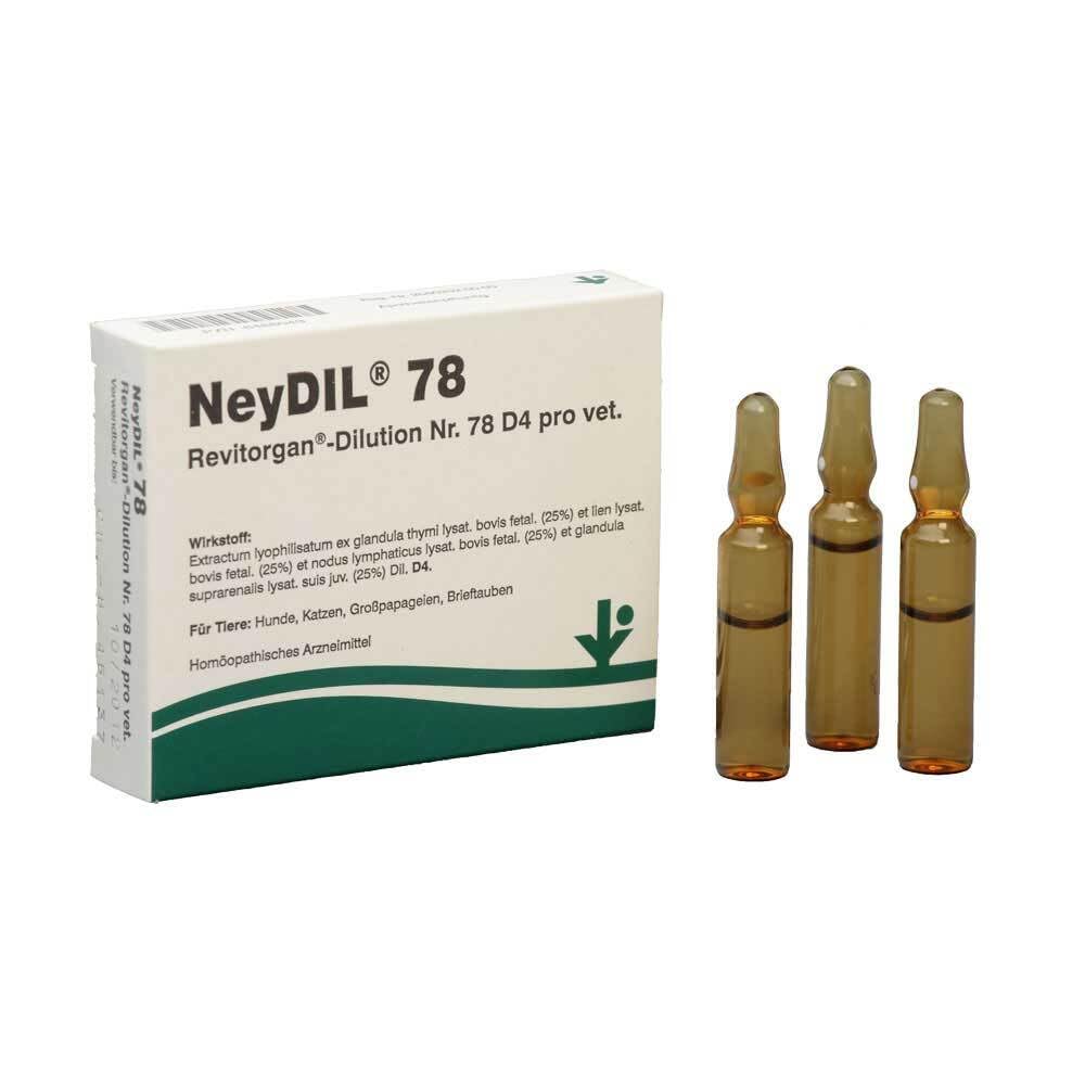 NEYDIL Revitorgan Dil.D 4 pro Ampullen Produktbeschreibung