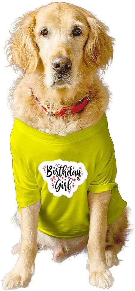 RuseRuse Basic Crew Neck Birthday Girl Printed Half Sleeves/Apparel/Clothes/T-Shirt Gift for Dogs.Colour-Yellow/X-Large (Saint Bernard, Great Dane etc.)