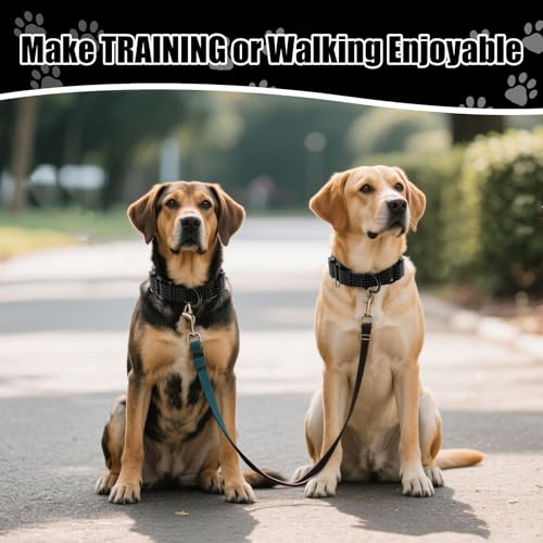 Image of Martingale Dog Collar, Reflective No Pull with Buckle, Black, S | Escape Proof without choking ,Training Collar with Quick Release Buckle, Adjustable Heavy Duty Nylon collars for S M L Dogs