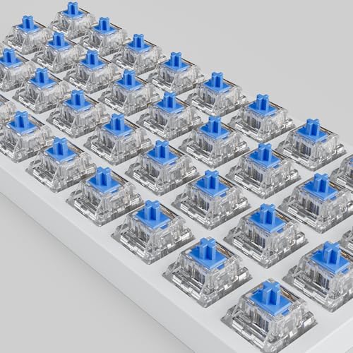 Image of Zhouwang 10Pcs Crystal Blue Switch,Crisp Clicky,Suitable clicker for 3D Prints and Mechanical Gaming Keyboards.