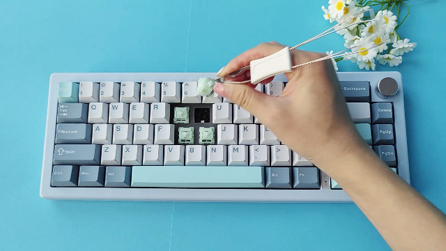 ケヤキ Drop + Bees.Keys GMK ZX Keycap Set - Extension | Mechanical