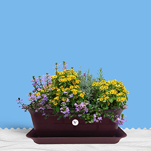 Image of 20 Inch Brownish Flower Pot Gamla with Bottom Tray Set of 4 (1 Small Free) / Indoor and Outdoor Use Pot /Plant Container /planters Rectangular Big Size for Terrace /Home Decor /pots Gardening