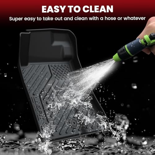 Image of LASFIT Floor Mats for Ford Mustang 2015-2023 2024 2025 2026 Accessories