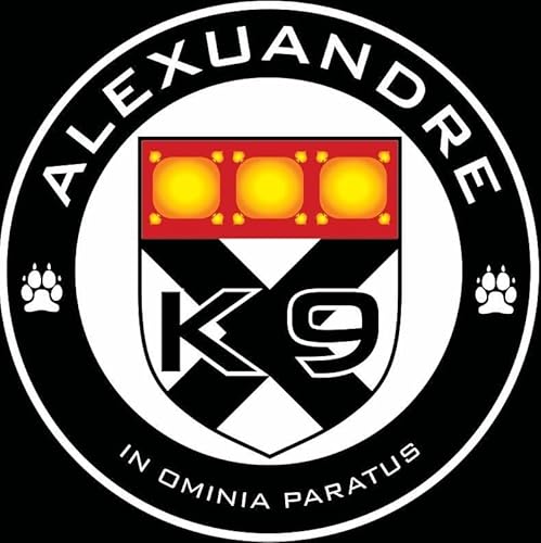 Getting a Working Dog from South Africa?! (Episode 12)