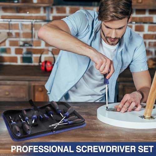 WORKPRO 10-Piece Magnetic Screwdriver Set