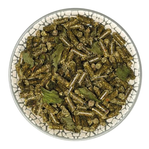 Bunny Nature MeerschweinchenTraum Basic | 600 g | Alleinfuttermittel für Meerschweinchen | Ab dem 5. Lebensmonat | Mit Pflanzen aus der Heimat der Meerschweinchen