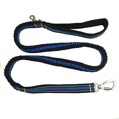 Riflettente in Nylon elastico guinzaglio per cani