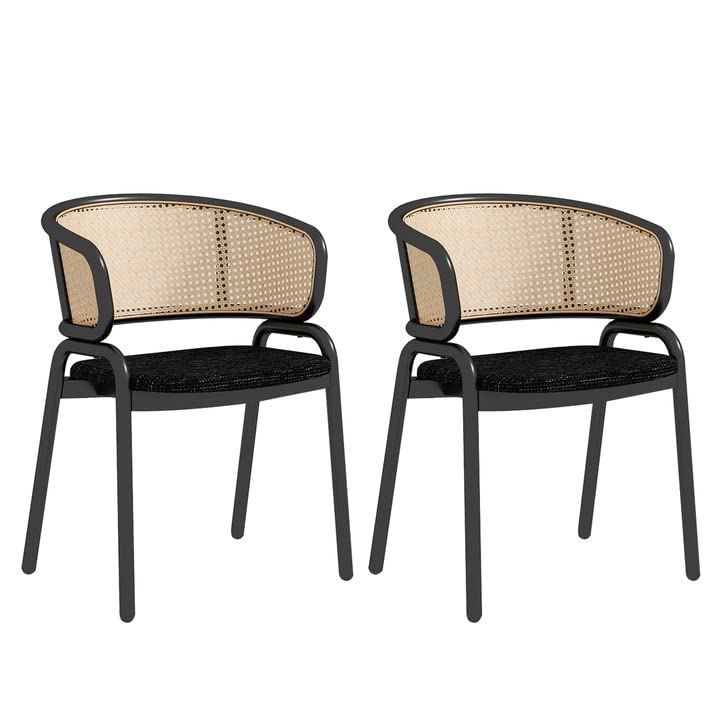 Top 10 Cane Back Dining Chair of 2022 Katynel