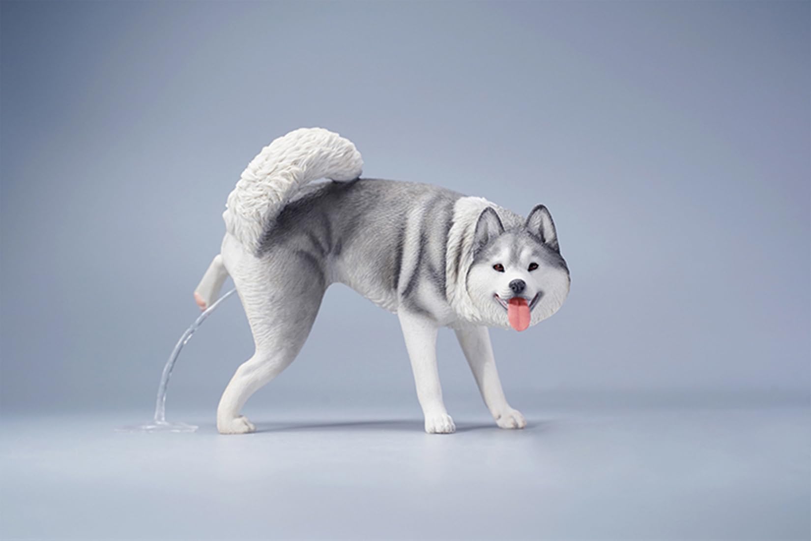 Amazon.co.jp: 1/6 サイズ シベリアン・ハスキー可愛い 滑稽 犬 動物