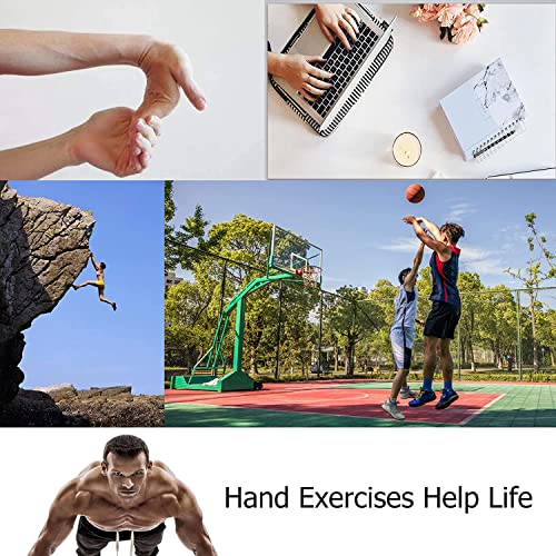 Image of Vector X Foam Handgrip for Men & Women for Gym Workout Hand Exercise Equipment to Use in Home for Forearm Exercise, Finger Exercise Power Gripper (Black-Orange)