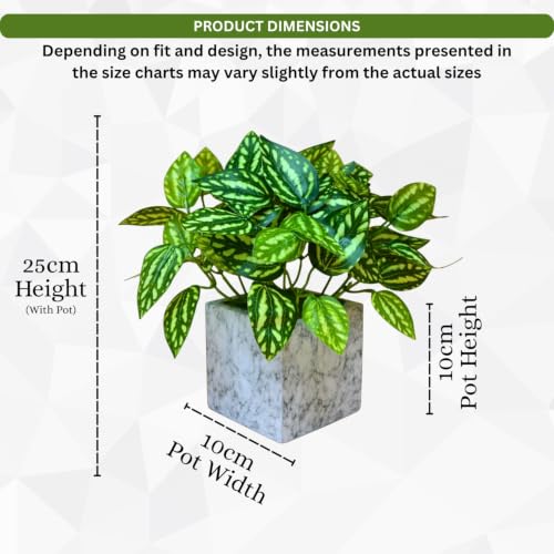 Image of fancymart Artificial Plant with Real-Touch Leaves in Pot, 25 cm, Indoor Tabletop Item for Home Decor, Office, Living Room