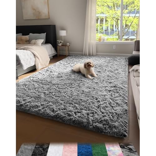 Ophanie Upgrade 4×6 Rugs for Bedroom, Grey, Fluffy Shaggy Soft Area Rug, Gray Non-Slip Indoor Floor Carpet for Living Room, Kids Baby Boys Teen Dorm Home Decor Aesthetic, Nursery, Rug