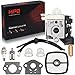 Hipa RB-K84 Carburetor with Gasket Fuel Repower Kit Air Filter for Echo PE265 PPT265 PAS265 SHC265 HCA265 SRM265 SRM265S SRM265T SRM265U Trimer Weedeater