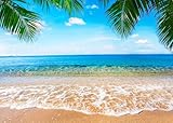 Summer Hawaii Beach Photo Banner 7x5ft Tropical Summer Palm Trees Photography Backdrop for Wedding Baby Birthday Bridal Shower Hawaiian Luau Party Decoration Banner Supplies