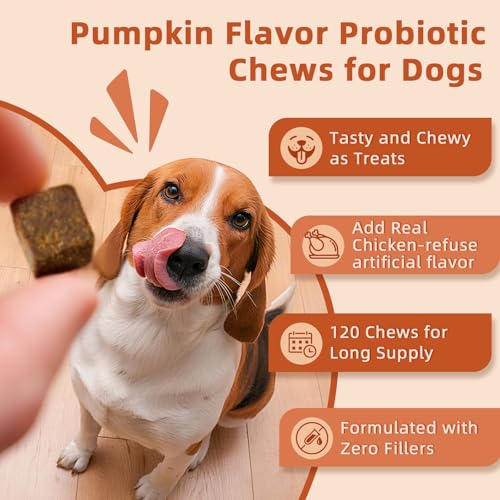 ZEBORA Probiotics for Dogs, Digestive Health, Pumpkin, 120 Soft Chews - Image 4