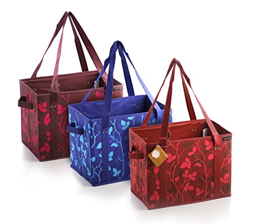 PreserveNext Premium Collapsible Box with Reinforced Bottom, Reusable Grocery Bag Set, Shopping Bags