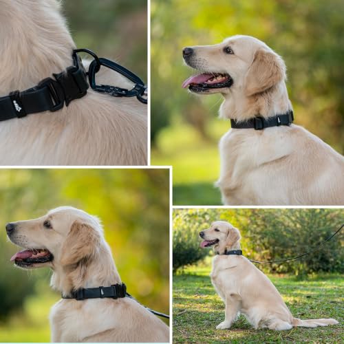 Image of Adil's Biothane Waterproof Dog Collar, Dog Leash & Collar Leash Combo | Heavy Duty TPU Coated Webbing | Adjustable Quick Release Buckle | Odour Resistant (Black, L-22, Collar & Leash Combo)
