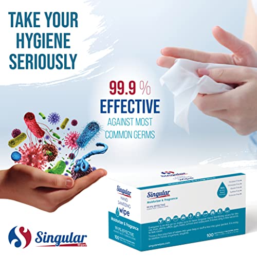 Hand Sanitizing Wipes - 100Ct - Individually Packed Premium Hand Sanitizing Wipes For Travel, Home, Office, School, Etc. With Fresh Citrus Fragrance And Moisturizer - Manufactured In Usa #TOP2