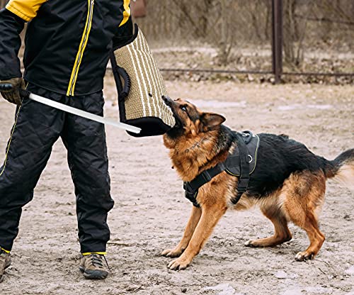 Professional Dog Bite Training Set 3 In 1 Dog Bite Sleeve Arm + Whip Agitation Stick For Dogs Training Protection For Biting + Dog Bite Pillow Tug Toy, Interactive K9 Pitbull German Shepherd Puppy #TOP1