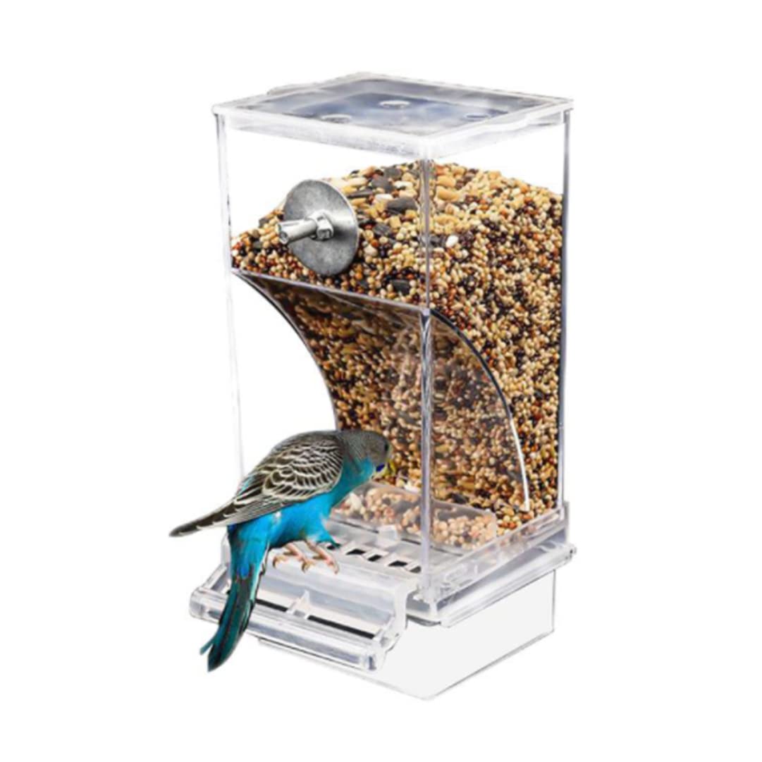Conteneur alimentaire automatique oiseaux en acrylique haut de gamme pour cage