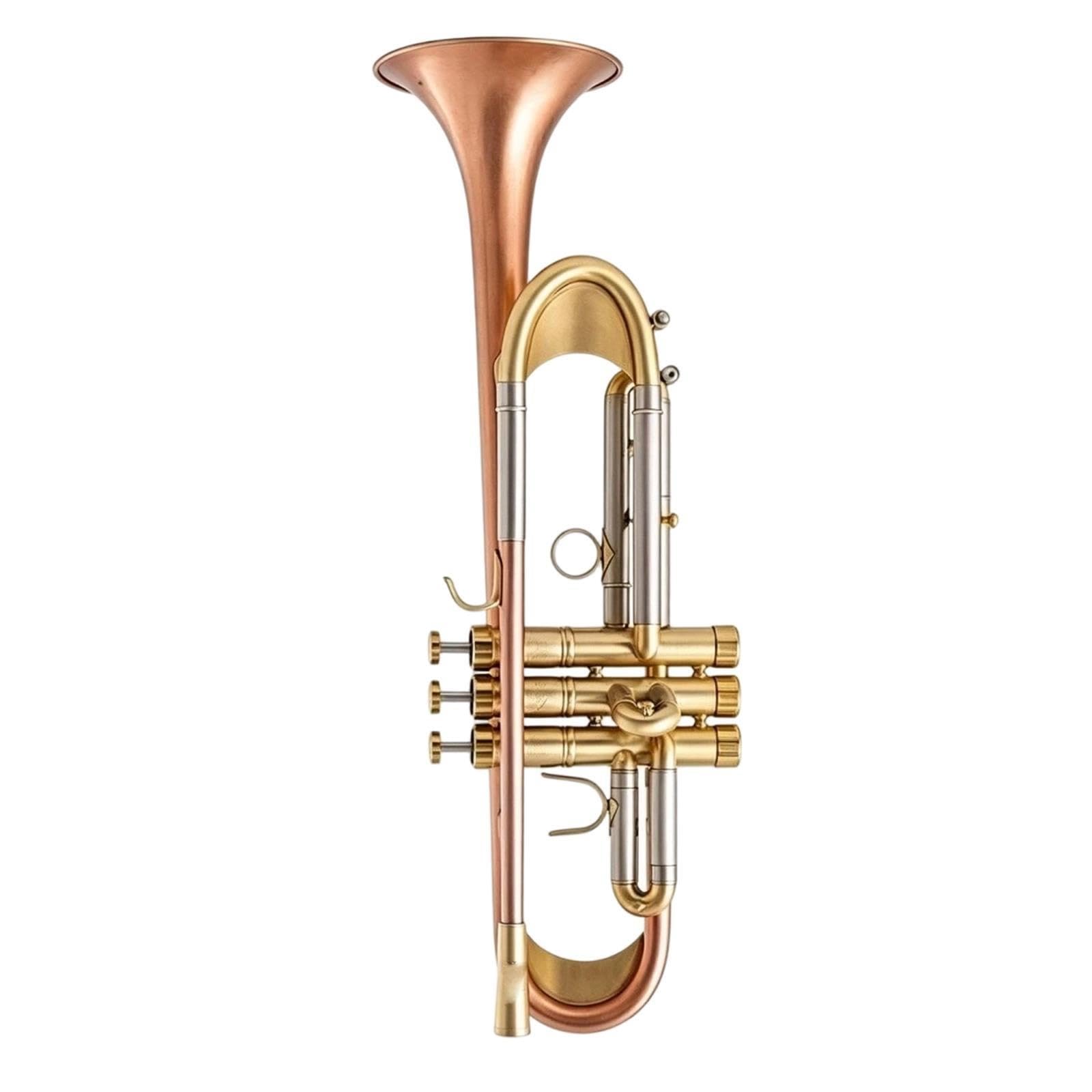 Professional Trumpet Trompeta profesional en si bemol