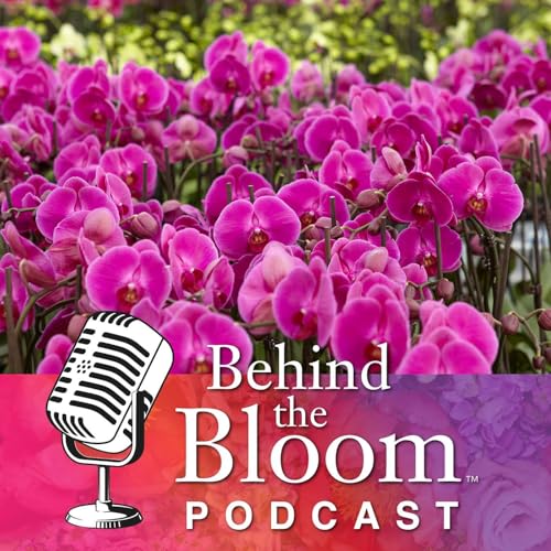 Episode 21 - Companion to Life in Bloom #113 - De-Mystifying Orchids
