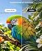 ORICO SD30 SD Karte 128GB, UHS-I, C10, U3, V30, Full HD, 4K, 100MB/s,