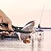 Fischgreifer,Fish Gber,Angeln Zangen Salzwasser Ha Entferner Zangen Angeln Greifer Geebe Werkzeug Abs G Tackle Fischlippenter er Clamp Mit Werkzeug,Fahrradkette günstig Kaufen-Fischgreifer,Fish Gber,Angeln Zangen Salzwasser Ha Entferner Zangen Angeln Greifer Geebe Werkzeug Abs G Tackle Fischlippenter er Clamp Mit