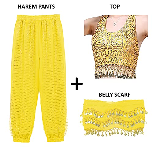 Image of VRITRAZ Women's Chiffon Belly Dance Chiffon Top, Harem Pants and Hip Scarf Ringy Golden Coins Fancy Pants
